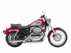 Harley-davidson-1200-sportster-custom-2-2005-2005-3.jpg