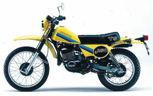 1984 - 1989 Suzuki TS 250X