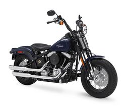 Harley-davidson-cross-bones-2009-2009-3.jpg