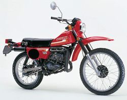 Suzuki-ts-125-hustler-1971-1980-4.jpg