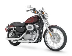 Harley-davidson-883-custom-2008-2008-1.jpg
