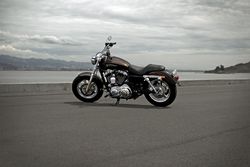 Harley-davidson-1200-custom-110th-anniversary-2-2013-2013-0.jpg