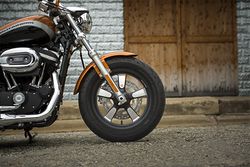 Harley-davidson-1200-custom-3-2016-2016-2.jpg