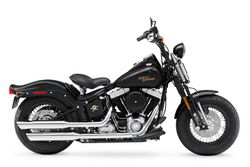 Harley-davidson-cross-bones-2009-2009-2.jpg